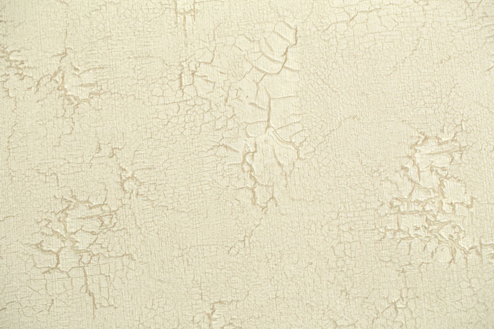 Палитра краски Церезит для короеда