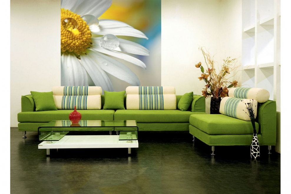 Зеленый диван