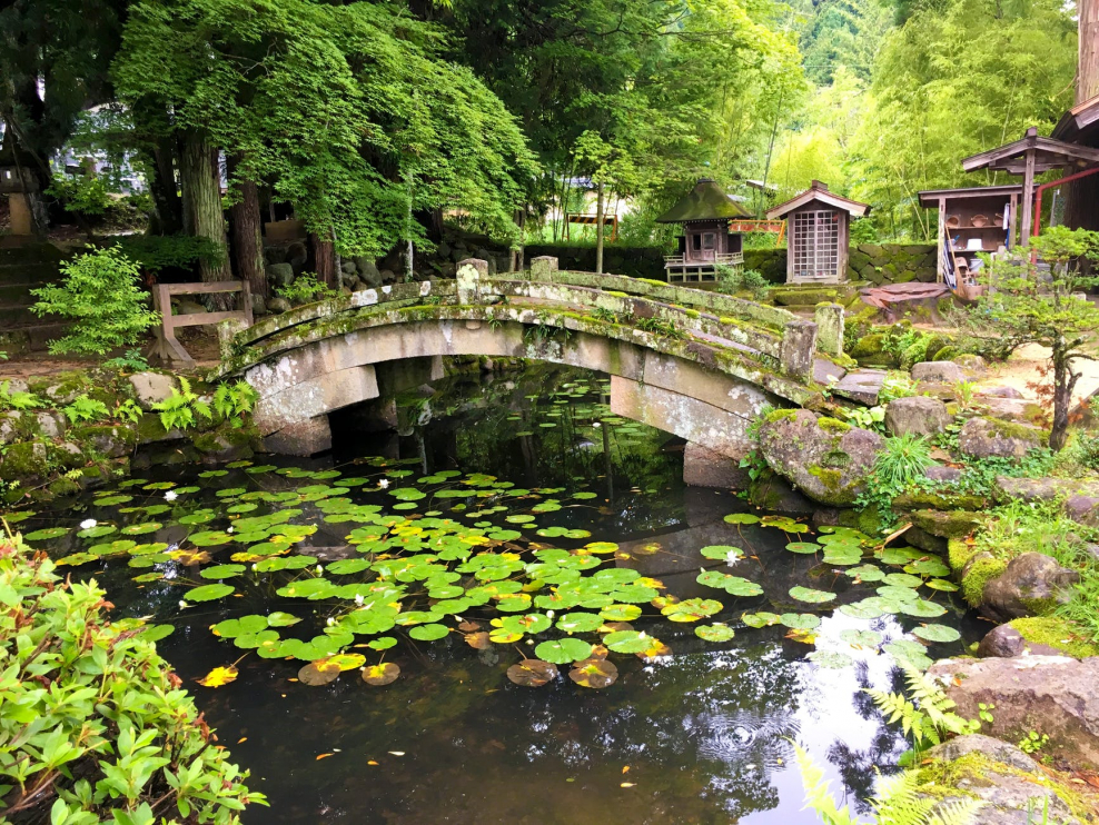 Пруд в Японии