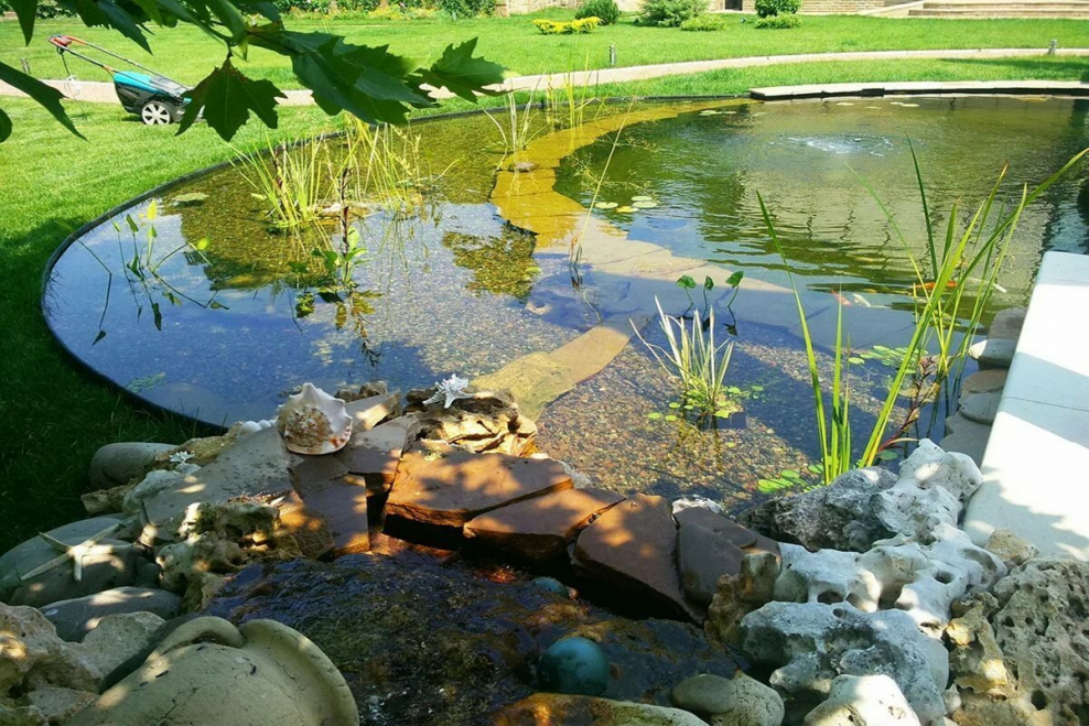 Биоплато для пруда