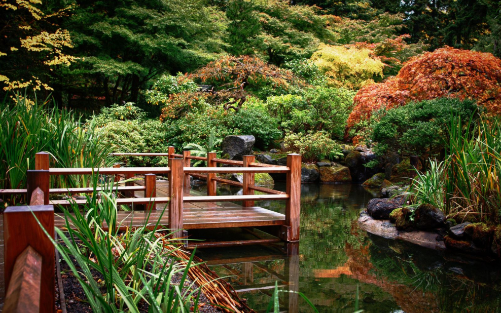 Японский сад зигзагообразный мост