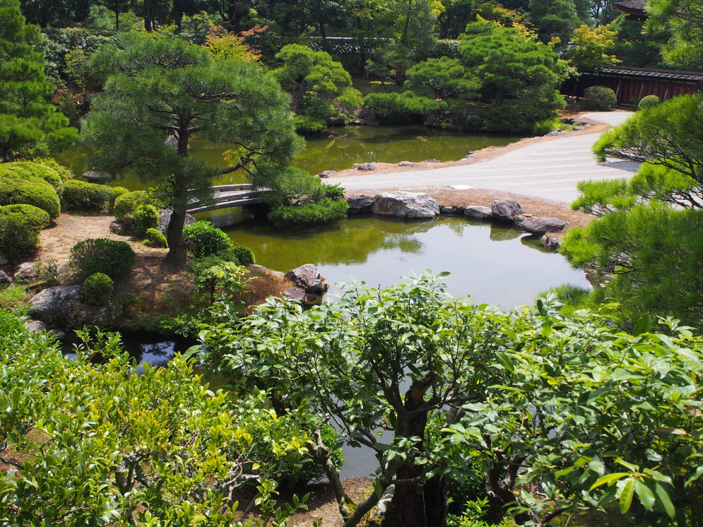 Японский пруд. Дзэнские сады Япония. Японский прудик в саду. Пруд в саду Япония. Японский сад с прудом.