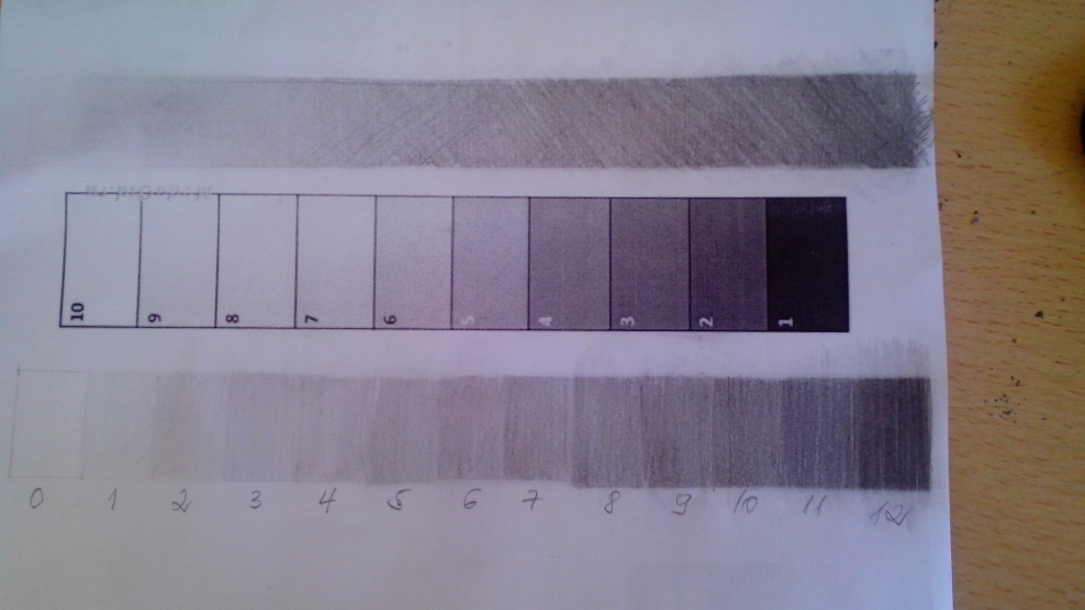 Тональная шкала от белого до черного