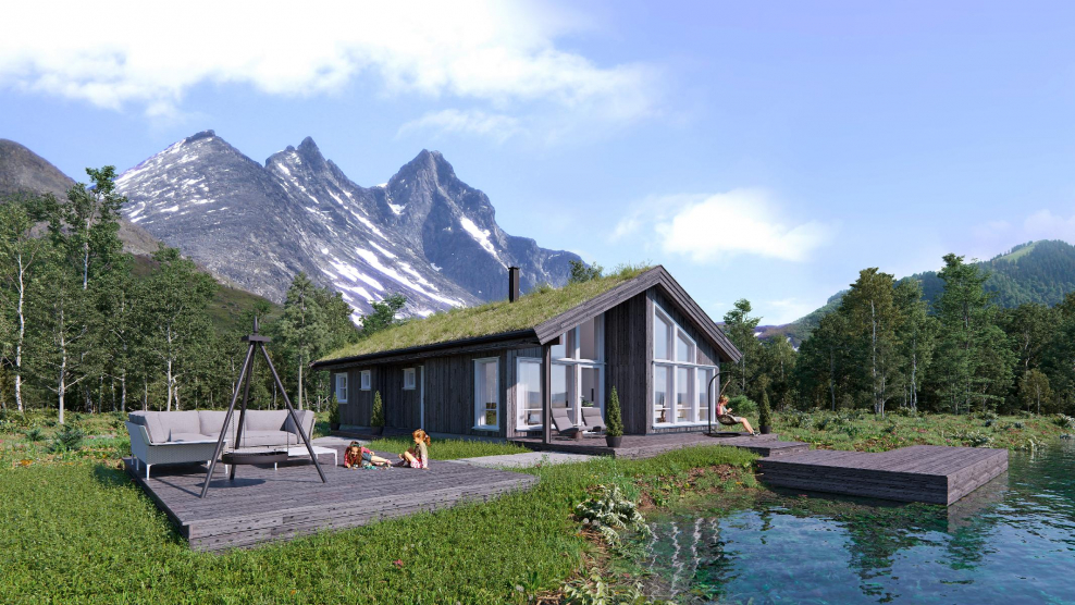 Дома в Норвегии