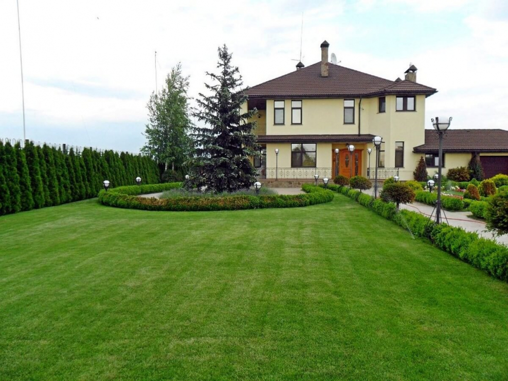 Миллениум парк растения