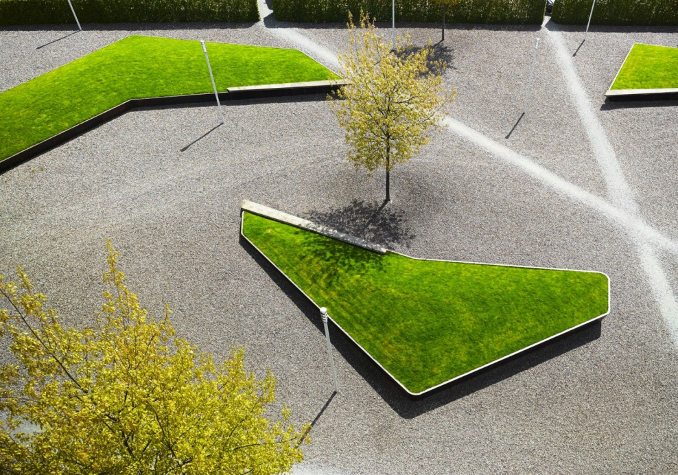 Озеленение городской среды