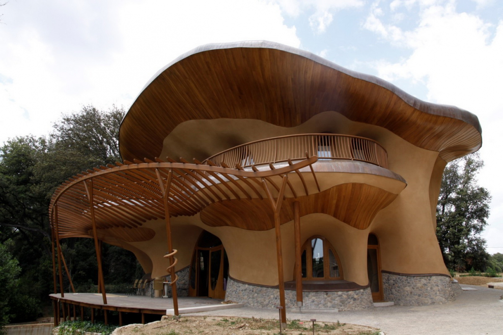 Бруно дзеви органическая архитектура