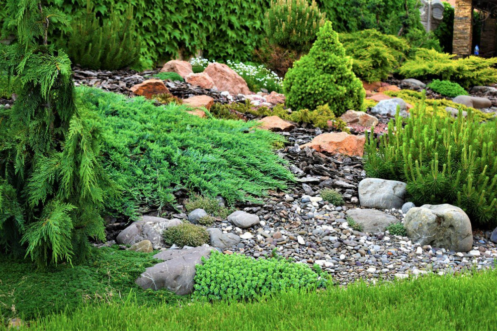 Каменистые сады Альпийская горка