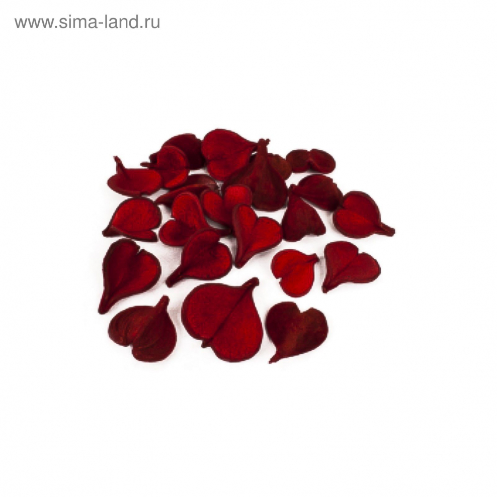 Чучело кубинского попугая ара