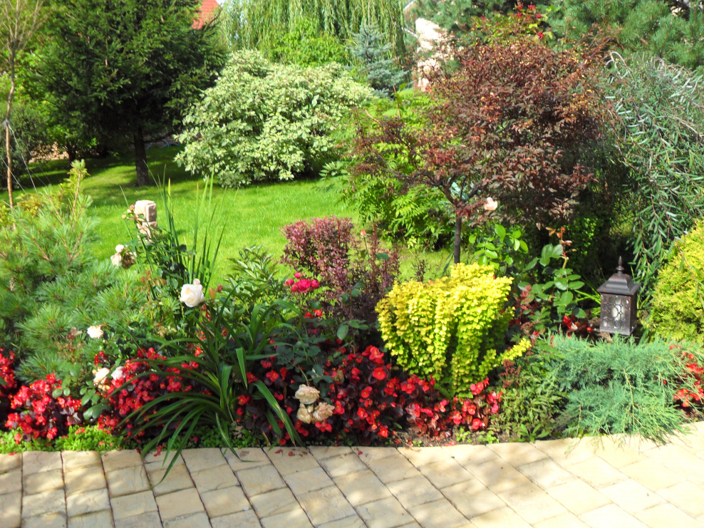 Рабатка с хвойниками