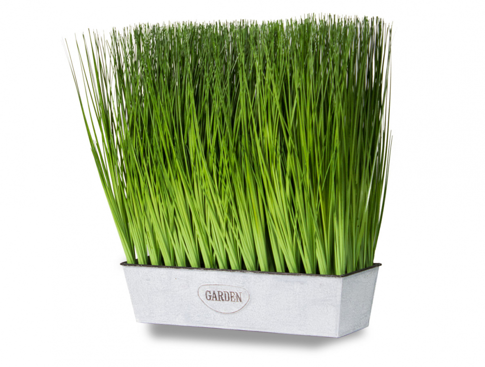 Трава Ванилла Грасс зелёная