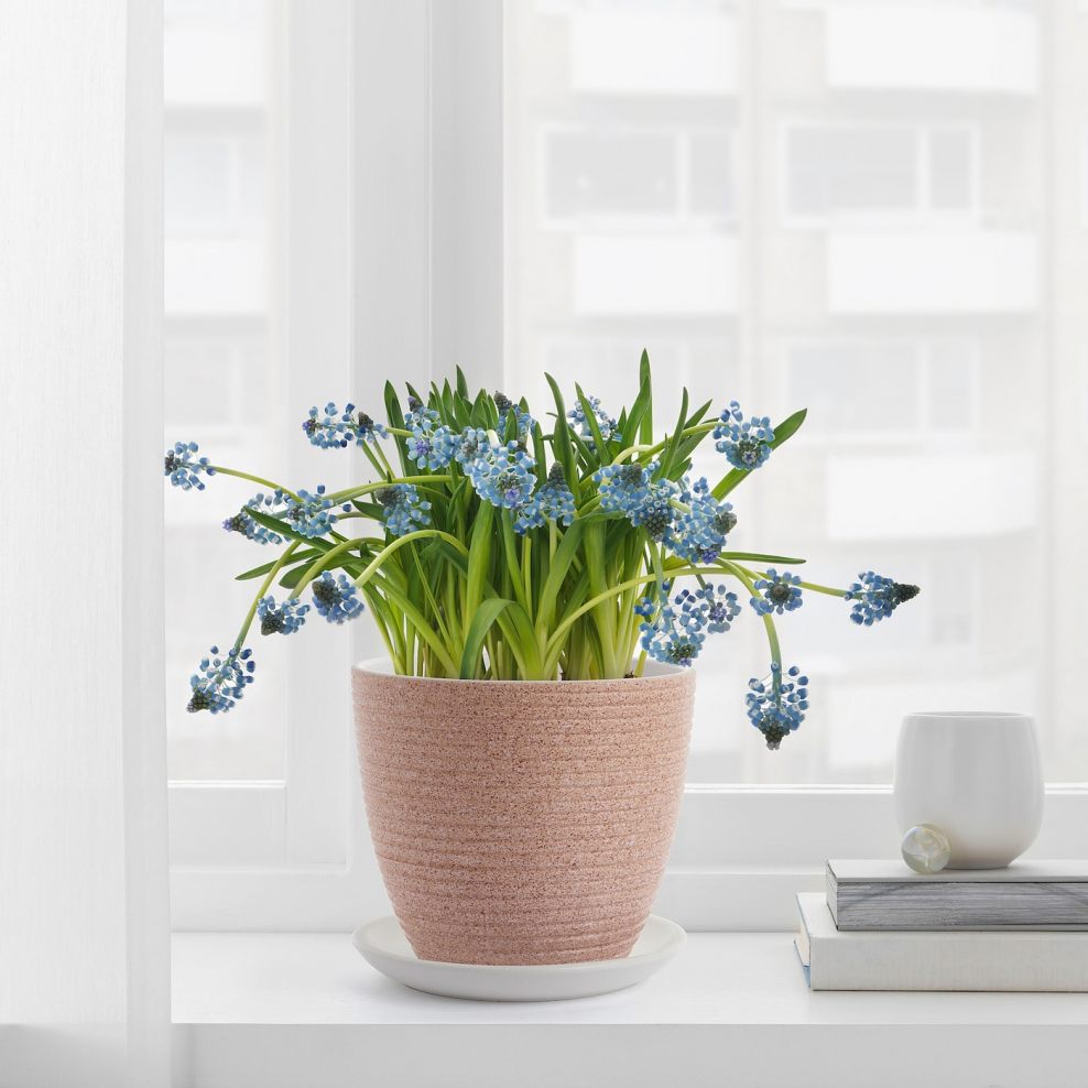 Цветочный горшок СКАКИГ икеа