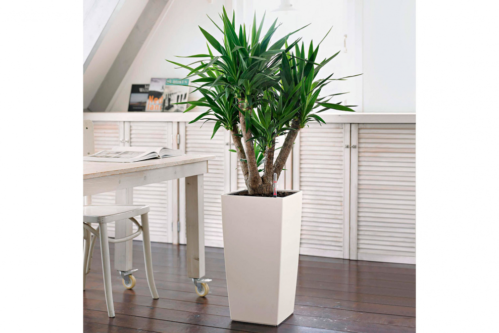 Кашпо Lechuza cubico