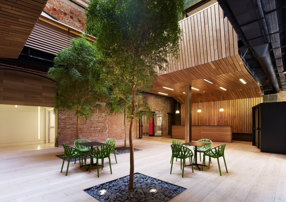 Дерево в общественном интерьере