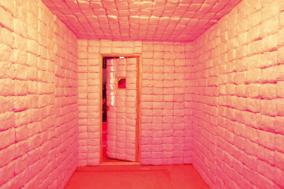 Комната с мягкими стенами