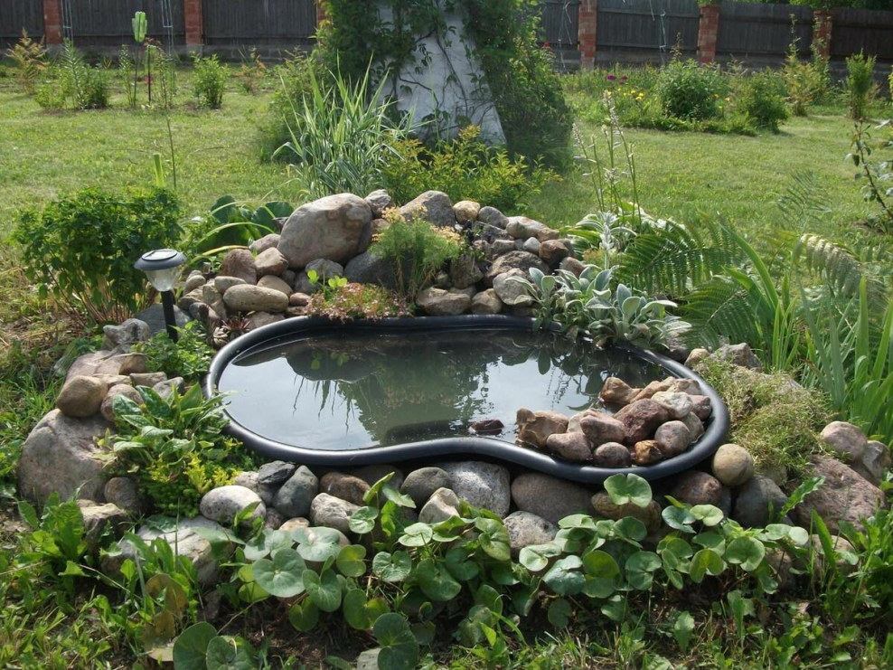 Маленькие Альпийские горки