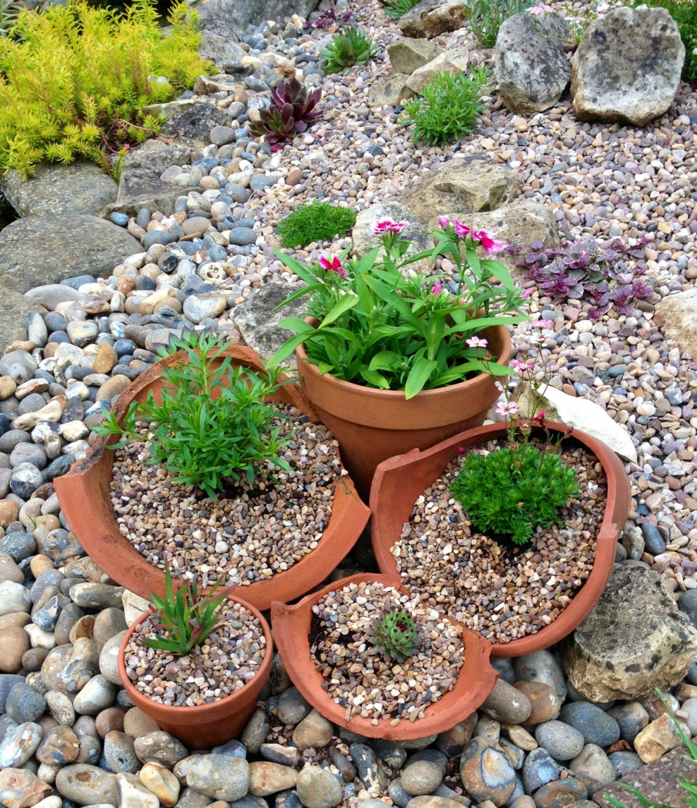 Клумба рокарий