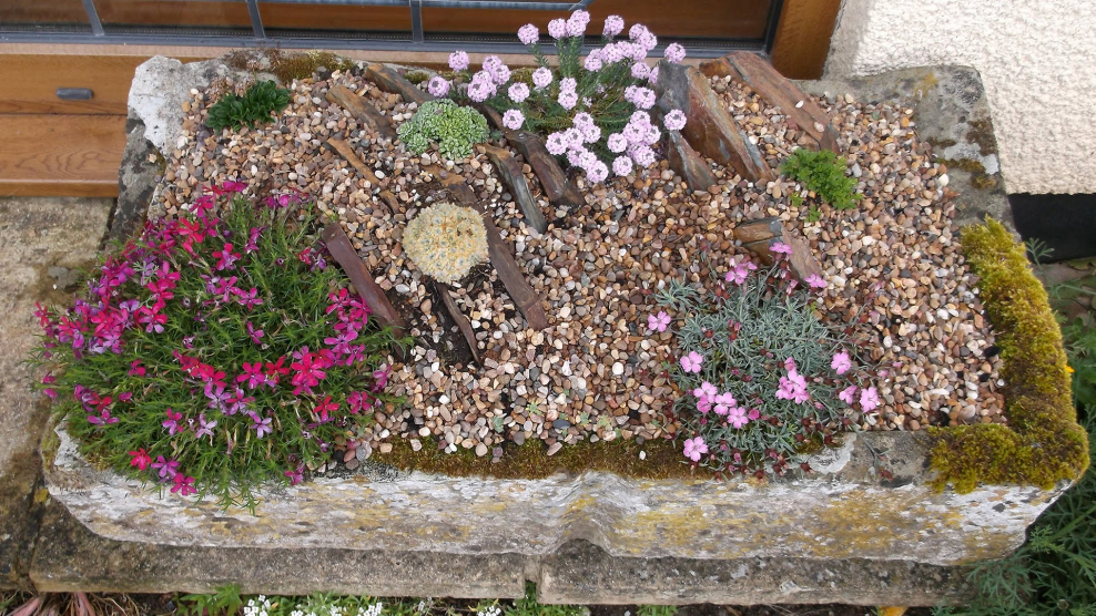 Водный Каскад рокарий