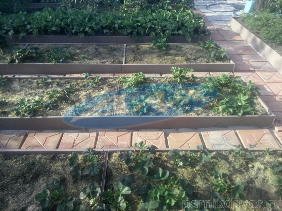 Пластиковые грядки ДАЯС