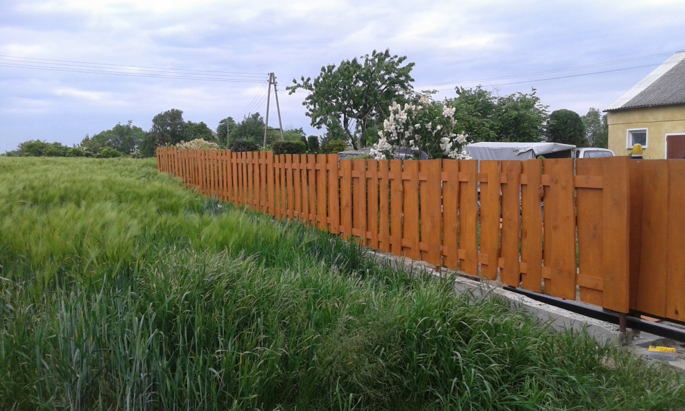 Штакетник 25х50х2000