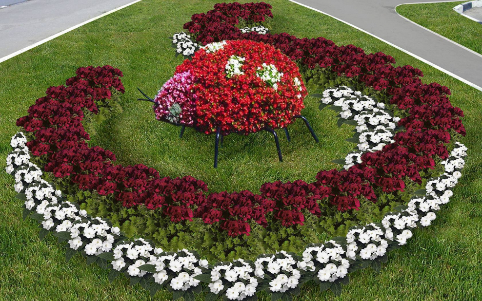 Кусты в детском саду