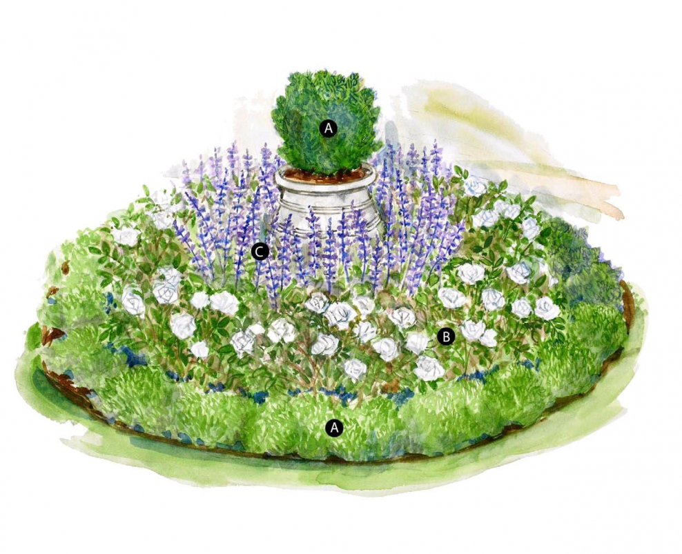 Круглая клумба вид сверху