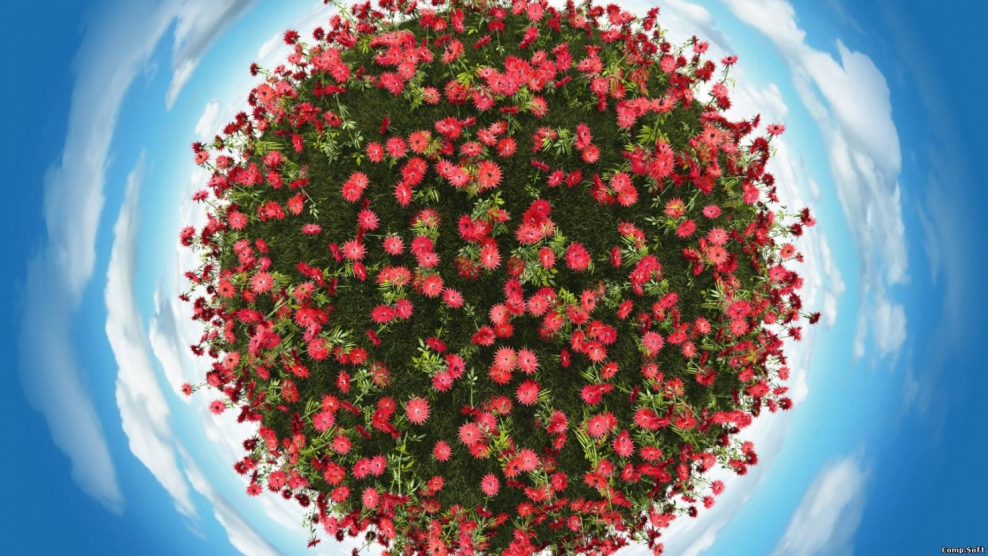 Клумба с цветами вектор