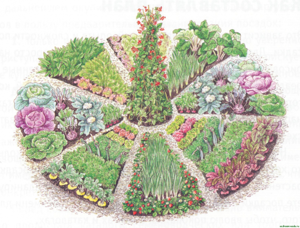 Мелкие цветы