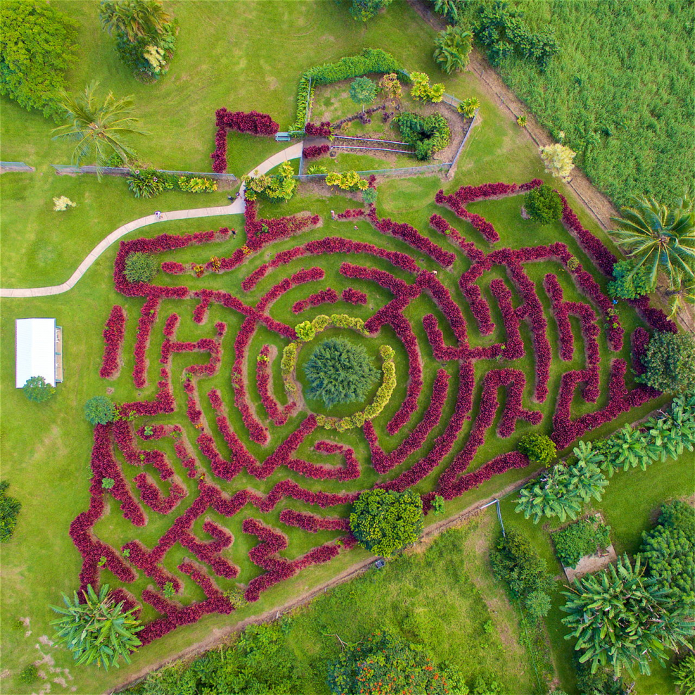 Сад четырех сезонов Уолсолл Великобритания