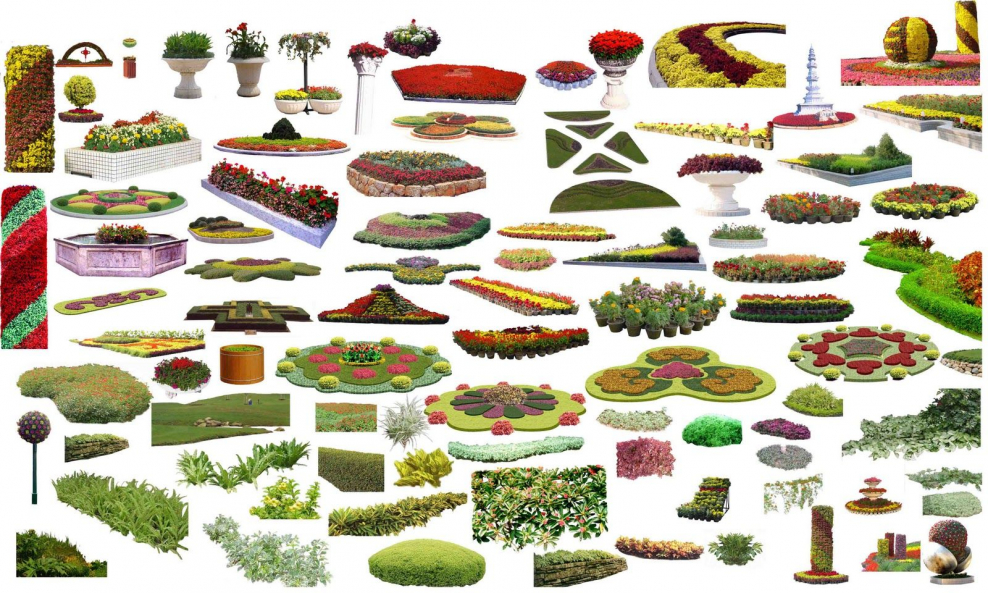 Фото Лабиринта сверху