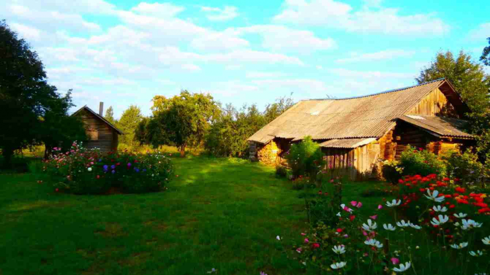 Август в деревне