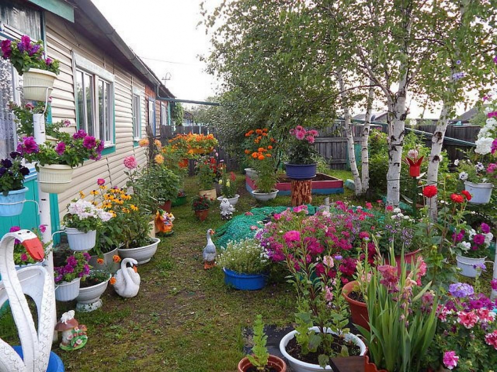 Красивый палисадник в деревне