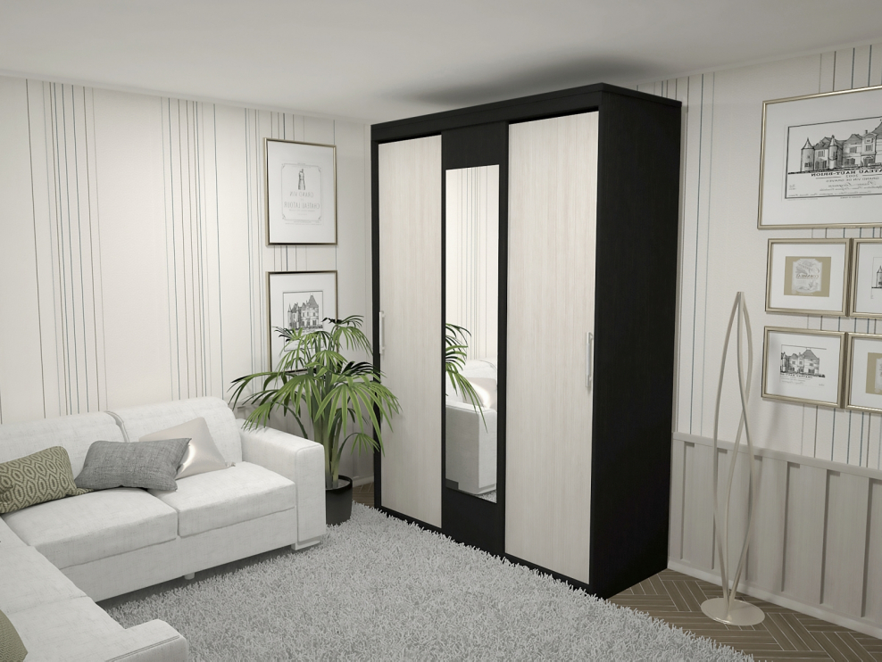 Шкаф-купе Вера (м6)