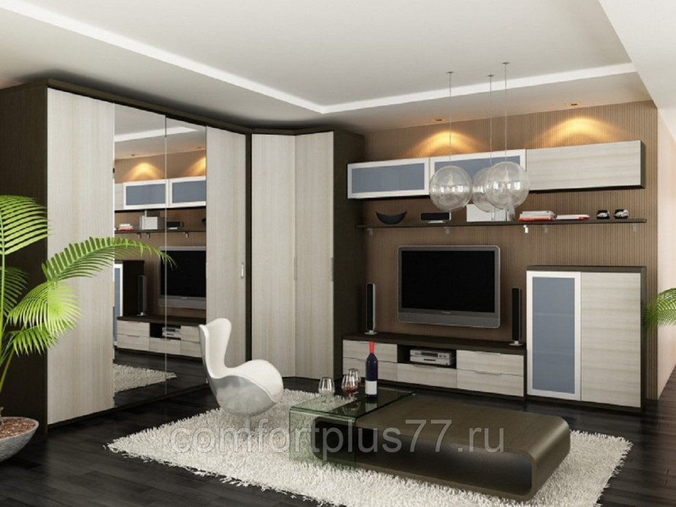 Шкаф-купе Гранд 4