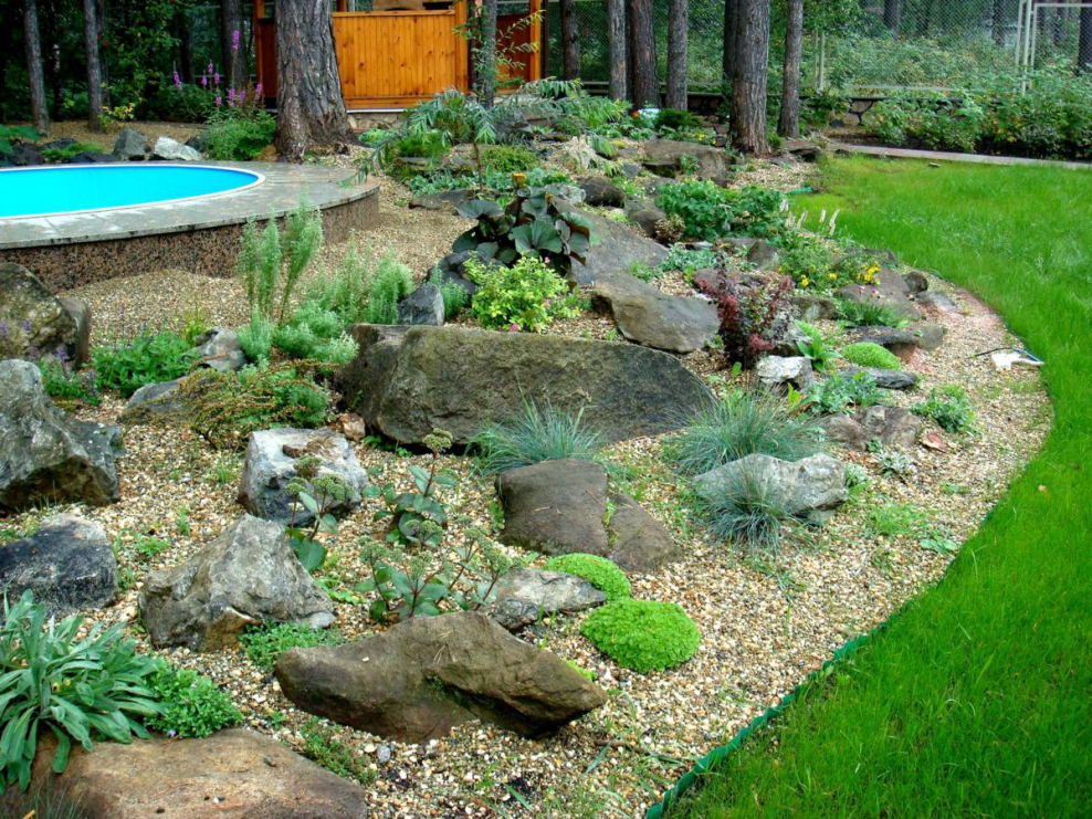 Рокарий- Альпийская лужайка