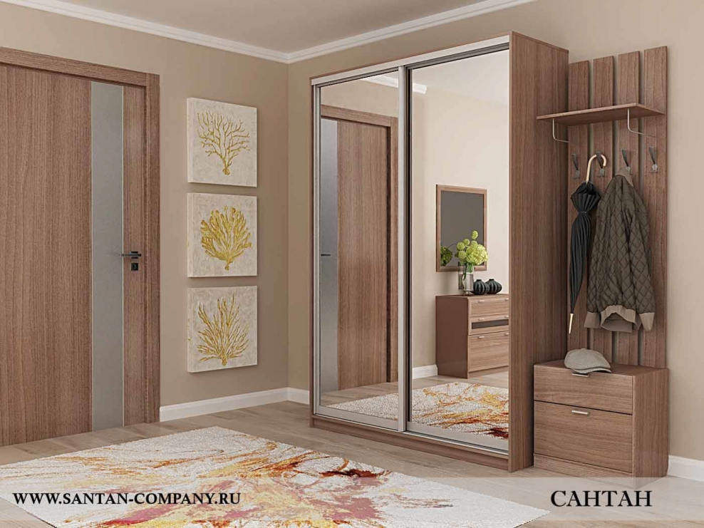 Шкаф-купе Оптима-2