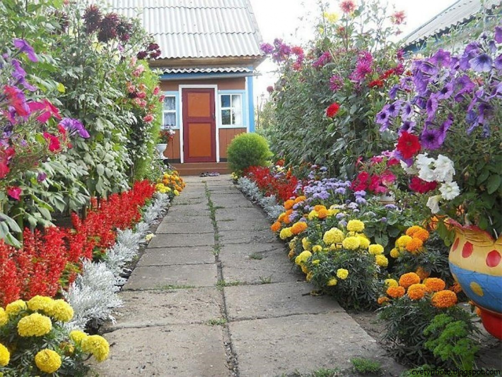 Цветник в палисаднике