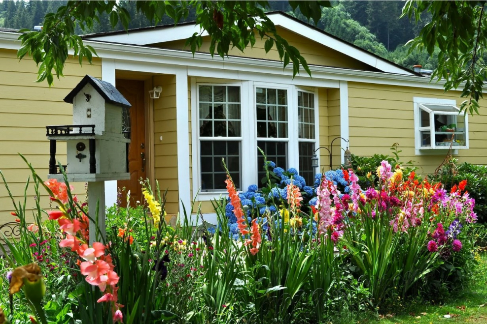 Цветник перед домом в деревне
