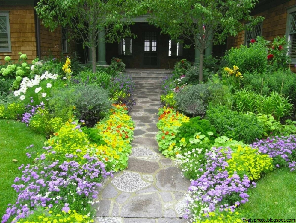 Миксбордер вдоль дорожки