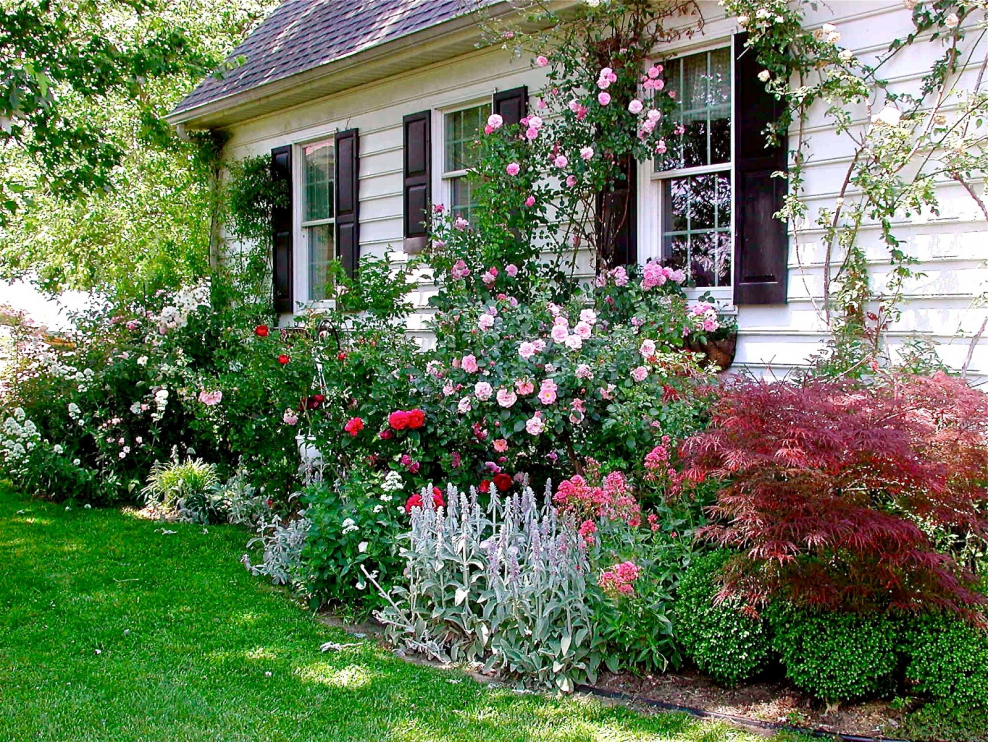 Миксбордер Кантри сад