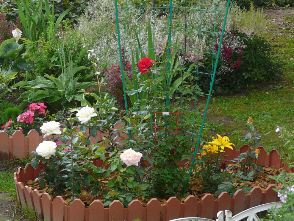 Декоративное ограждение Дачник