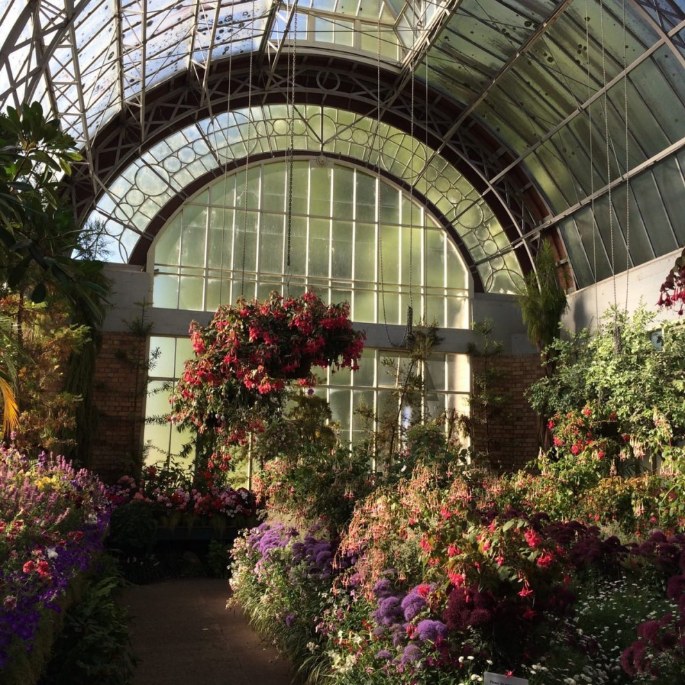 S385 оранжерея