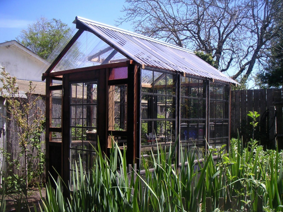 Зимний сад Екатеринбург оранжерея