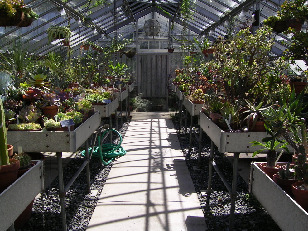 Разводочные оранжереи