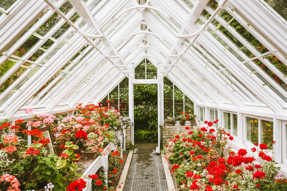 Круглогодичная теплица