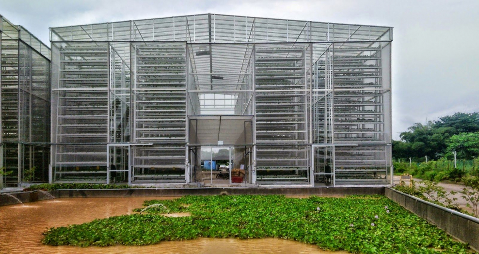 Роменвиль Франция вертикальная ферма