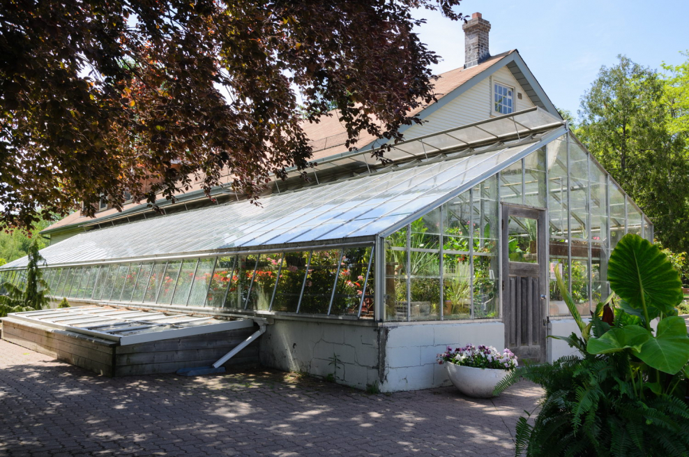 Большая стеклянная теплица