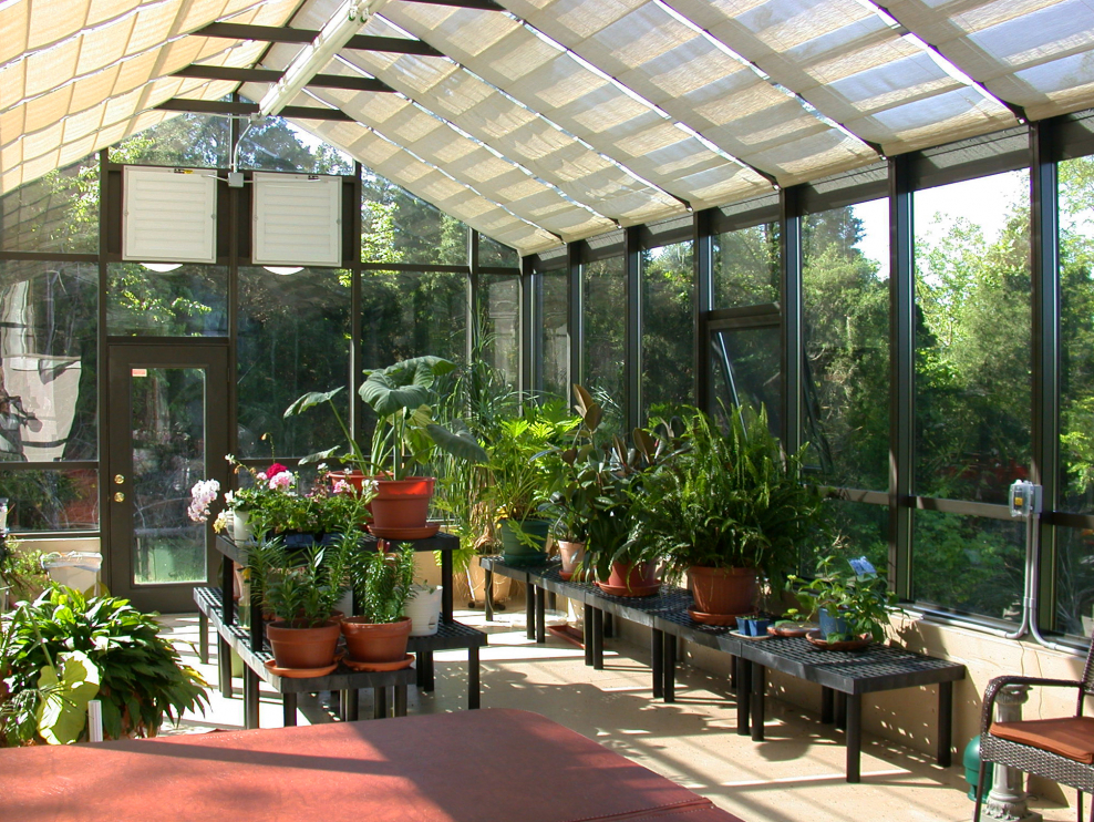 «Зимний сад» оранжерея Пэкстон