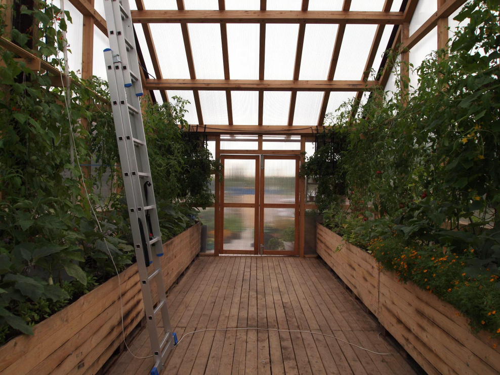 Теплицы на крышах жилых домов