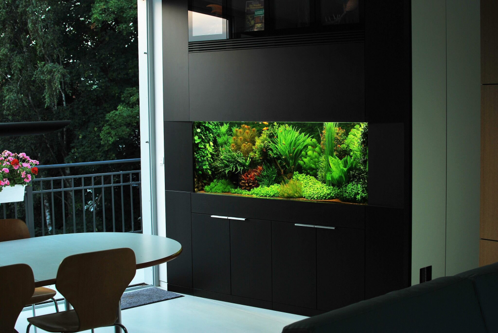 Разделение комнаты аквариумом